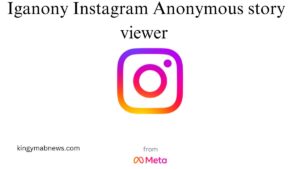 Iganony Instagram Anonymous story viewer